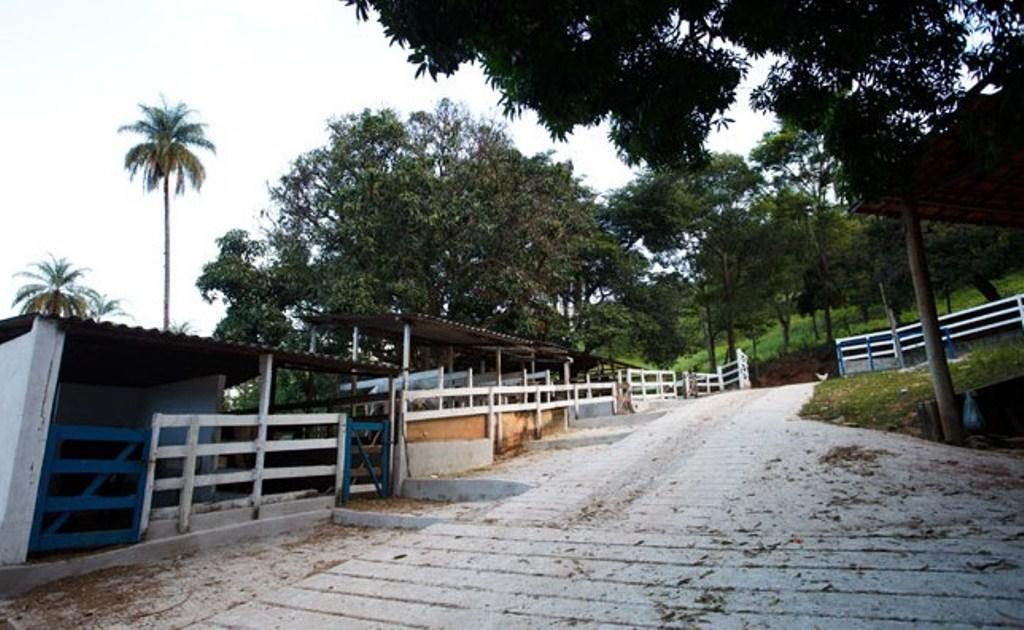 Fazenda Do Engenho *